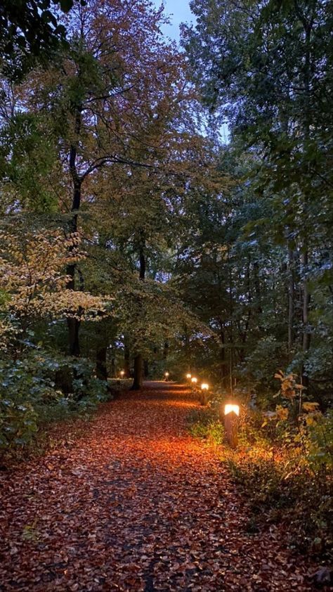 Ginger Core Aesthetic, Midwestern Fall Aesthetic, Emily Fall Core, Abigail Core Aesthetic, Kimora Core, Savanna Core, Emmie Core, Kaya Core, Katy Core