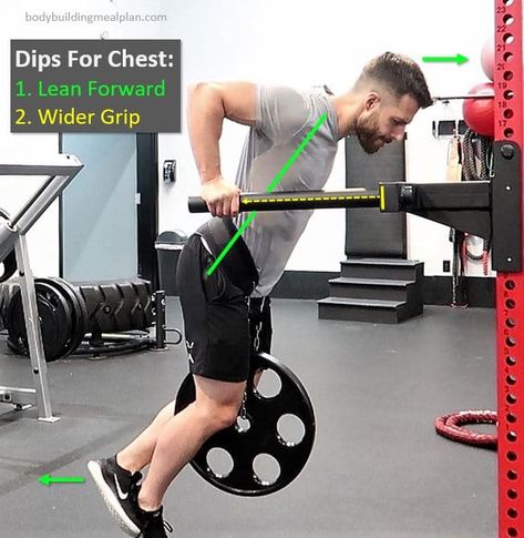 How To Do Weighted Dips For Chest vs Triceps With A Weighted Dip Belt Chest Dips, Resistance Bands Chest, Weighted Dips, Hypertrophy Training, Best Resistance Bands, Pectoral Muscles, Tricep Dips, Chest Muscles, Building Muscle