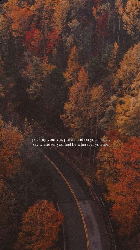 Fall Background With Quote, You Can Miss Them And Still Choose Peace, Southern Autumn Aesthetic, Fall Wallpaper Aesthetic Quotes, Aesthetic Pictures For Wall Collage Quotes, Noah Kahan Fall Wallpaper, Best Noah Kahan Lyrics, Autumn Quotes Wallpaper, Lyric Wallpapers Aesthetic