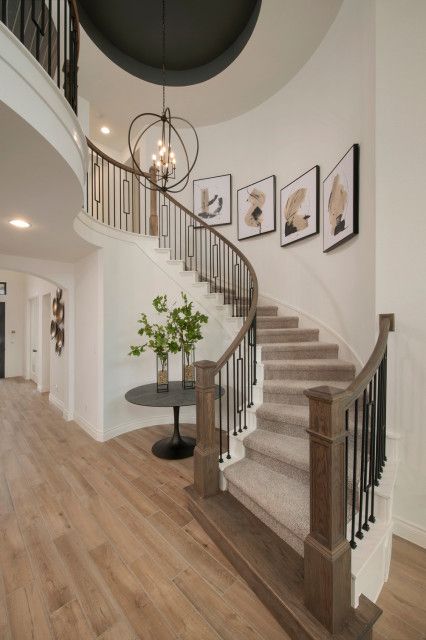 Rounded Staircase Decor, Rounded Staircase Ideas, Curves Staircase Ideas, Round Staircase Decor, Foyer Ideas Entryway Curved Stairs, Entry Staircase Ideas Entryway, Spiral Staircase Entryway, Curved Staircase Remodel, Circular Entryway Foyers