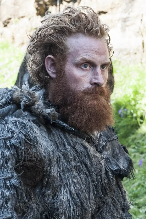 Tormund Giantsbane Tormund Game Of Thrones, Tormund Giantsbane, Dire Wolves, Viking Haircut, Fall Groom, Kristofer Hivju, Best Beard Growth, Viking Hairstyles, Valar Dohaeris