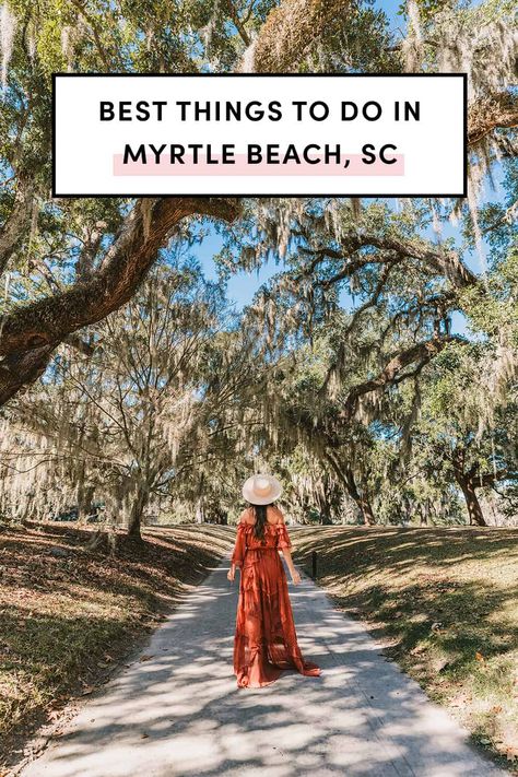 Best things to do in Myrtle Beach SC South Carolina | Brookgreen Gardens Best Things To Do In Myrtle Beach, Things To Do In Myrtle Beach, What To Do In Myrtle Beach Sc, North Myrtle Beach Things To Do, Things To Do In Myrtle Beach Sc, Myrtle Beach Things To Do, Myrtle Beach Trip, Southern Road Trips, Brookgreen Gardens