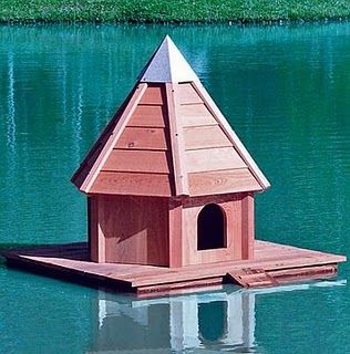 Ideas to Build a Platform Mallard House Floating Duck House, Duck Housing, Ancona Ducks, Duck Houses, Duck Stuff, Farming Ideas, Chicken Coop Decor, Runner Ducks, Wooden Bird Houses