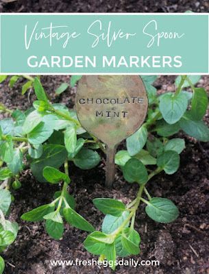 Vintage Silver Spoon Garden Markers - Fresh Eggs Daily® Spoon Plant Markers, Spoon Garden Markers, Rodent Repellent, Pineapple Sage, Gardening Herbs, Spoon Collection, Backyard Poultry, Chicken Keeping, Pretty Garden