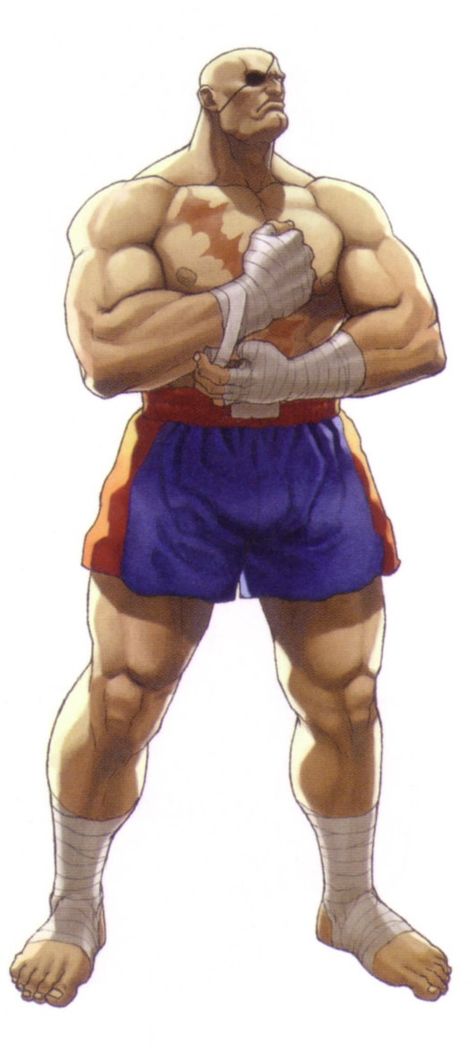 All Street Fighter Characters, Sagat Street Fighter Art, Sagat Street Fighter, Street Fighter Ex, Street Fighter Video Game, Video Game Drawings, Street Fighter Game, Tekken 3, Street Fighter Alpha