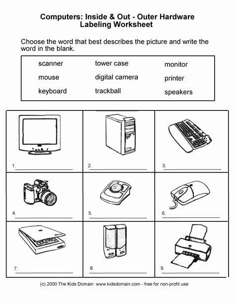 50 Computer Basics Worksheet Answer Key | Chessmuseum Template Library Keyboard Worksheet, Computer Worksheet, Chart Sheet, Elementary Computer Lab, Computer Science Lessons, Computer Lab Lessons, Worksheets For Class 1, Teaching Computers, Computer Teacher