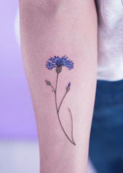 105+ German Tattoo Ideas That Will Have You Full Of Pride Austrian Tattoo Ideas, German Style Tattoo, Germany Inspired Tattoo, Germany Tattoo Ideas For Women, Ww1 Tattoo Ideas, German Flag Tattoo, German Cornflower Tattoo, German Inspired Tattoos, German Flower Tattoo