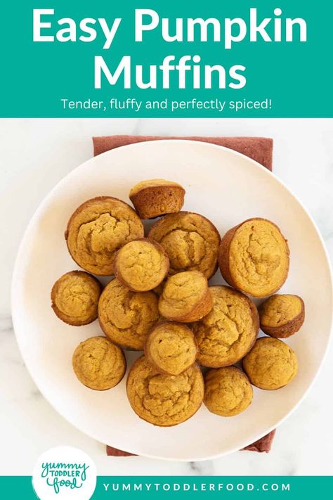 easy pumpkin muffins on plate. Toddler Pumpkin Recipes, Pumpkin Muffins For Toddlers, Pumpkin Toddler Muffins, Oat Pumpkin Muffins, Pumpkin Muffins For Baby, Greek Yogurt Pumpkin Muffins, Pumpkin Banana Muffins Healthy, Toddler Healthy Pumpkin Muffins, Pumpkin Recipes For Toddlers