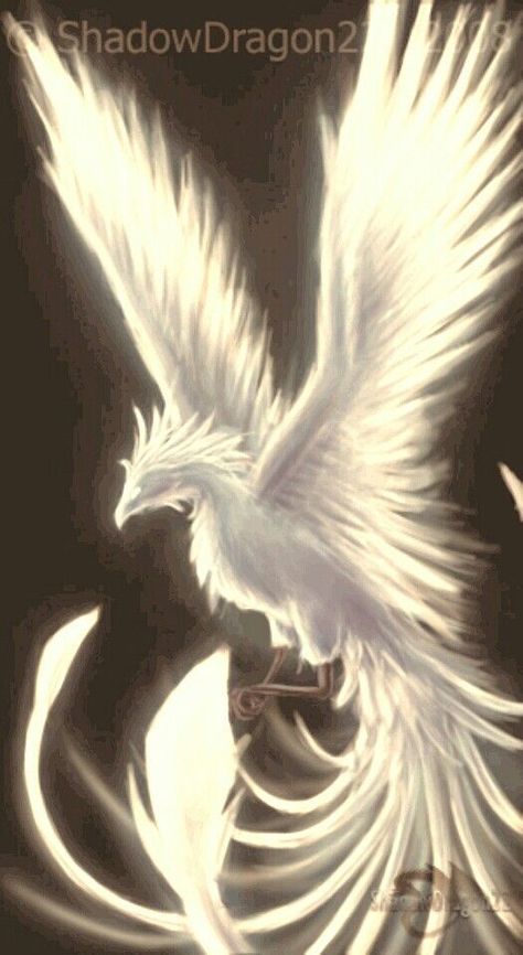 #wattpad #fanfiction You were a famous CEO and friends with satoru the get reincarnated into a phoenix to be continued Male reader x Tensei shitara slime boys Phoenix Bird Art, Phoenix Bird Tattoos, Phoenix Wallpaper, Phoenix Artwork, Phoenix Images, Phoenix Tattoo Design, Phoenix Art, Mythical Animal, Phoenix Bird