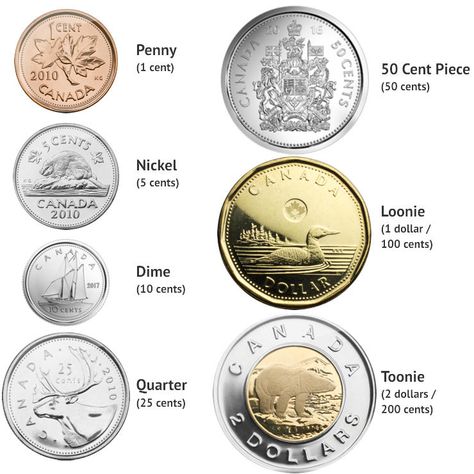 Canadian Coins Canadian Coins Worth Money, Canadian Currency, Canadian Penny, Australian Money, Money Clipart, Canadian Money, Preschool Prep, Money Chart, Canadian Dollar