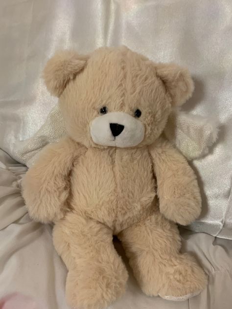 Teddy Bear Plush Aesthetic, Cute Bear Plushies, Cute Teddies Stuffed Animals, Stuffed Animal Astethic, Stuffed Bear Aesthetic, Stuffed Toys Aesthetic, Stuff Toys Aesthetic, Stuff Animals Plush Aesthetic, Cute Teddy Bear Aesthetic