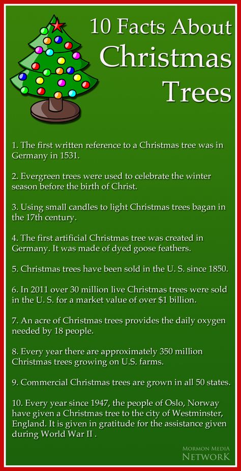 Mormon Media Network Christmas, Facts about Christmas Trees -- image by: wikimedia commons, Bartekbas History Of The Christmas Tree, Lessons From A Christmas Tree, Christmas Facts Interesting, Christmas Tree Farm Activities, Christmas Legends, Christmas Fun Facts, Christmas Facts, History Of Christmas, Decorate A Christmas Tree