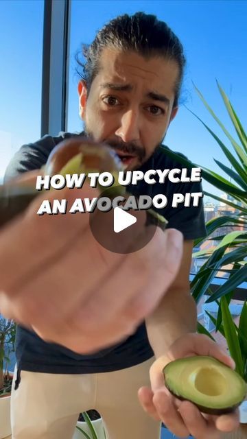 9M views · 749K likes | Armen Adamjan on Instagram: "How to Upcycle an avocado pit! 🥑 So many of us eat avocados and just throw out the middle.. but let that thing produce cleaner air in your home, give it a chance to live and be fascinated by its growth and if you just take good care of it, it’ll reward you with more avocados! 🤩🌱
.
.
.
.
#avocado #lifehacks #tipsandtricks #lifestyle #homemade #diy #plants #plantbased #vegan" Planting Avocado Pit, Grow Avocado From Pit, Avocado Plant From Seed, Gardening Veggies, Backyard Raised Garden, Easy Corn Casserole, Regrow Vegetables, Avocado Pit, Avocado Plant