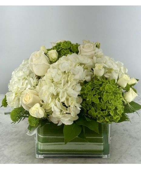 white, white roses, hydrangeas, white hydrangea, green hydrangea, white spray roses, small bouquet This exquisite piece features green and white hydrangeas, white roses, and white spray roses accented with green Kermit mums.  They are placed in a low glass container and accented with greens.  An unusual bouquet for that special someone celebrating a noteworthy occasion.  Perfect for birthdays, anniversaries, or, to say, how much you care.        Approximate size: 14H x 1 White Roses And Green Hydrangeas, White And Green Hydrangea Bouquet, White And Green Flower Arrangements, Green And White Floral Arrangements, Green And White Flower Arrangements, Hydrangea Arrangements Wedding, Green Hydrangea Bouquet, Hydrangea Bouquet Wedding, White Spray Roses