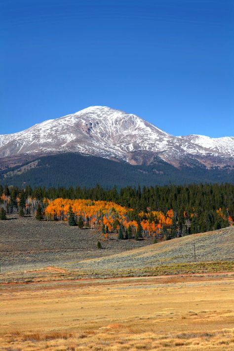 Tallest Peak in Colorado | Insider Families Colorado Scenery, Mount Elbert, Pikes Peak Colorado, Leadville Colorado, Geography Project, Ouray Colorado, Colorado Plateau, Visit Colorado, Western Landscape