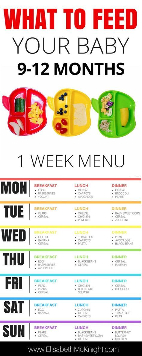 wonder what to feed your baby? sample baby menu and feeding chart for 9 - 12 months Meal Prep For 15 Month Old, Baby Food Guide, Baby Food Schedule, Baby Samples, Foto Newborn, Baby Feeding Schedule, Baby First Foods, Baby Foods, Baby Weaning