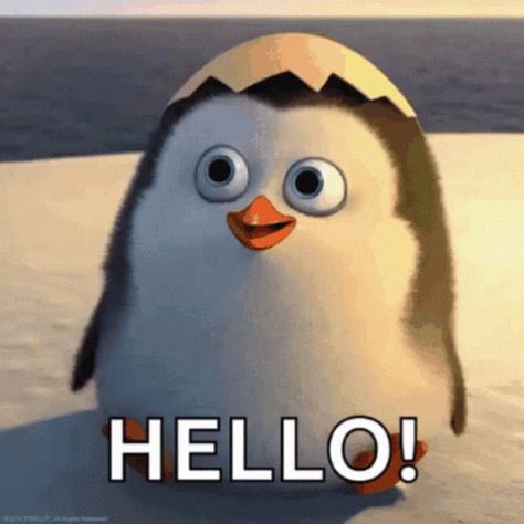 Hello There Private From Penguins Of Madagascar GIF - HelloThere PrivateFromPenguinsOfMadagascar Hi - Discover & Share GIFs Pinguin Meme, Hi Gif, Jump Animation, Waving Gif, Hello Good Morning, Hello Gif, Hello Sticker, Hello Memes, Animiertes Gif