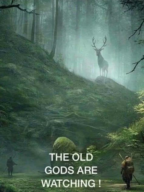 They’re all watching on this National Holiday. The Sidhe, Cailleach and the Old Gods. We await their return.🔥🐍🦌☘️ The Old Gods, Old Gods, Viking Quotes, Male Witch, Pagan Gods, Viking Life, Norse Pagan, Pagan Art, Celtic Mythology