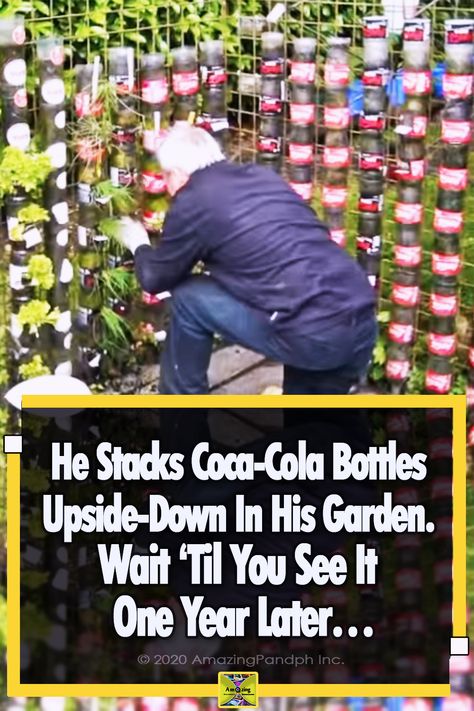 Plastic Bottles Garden Ideas, Soda Bottle Garden, Plastic Bottle Garden Ideas, Plastic Bottle Plants Ideas, Allotment Hacks, Garden Hacks Diy Creative, Garden Hacks Diy Ideas Tips And Tricks, Bottle Garden Ideas, Verticle Gardening Ideas