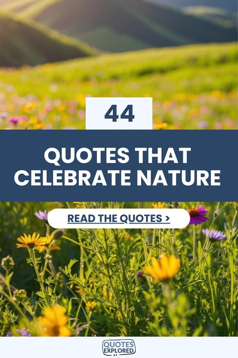 Inspiring pin featuring 44 quotes that celebrate the beauty of nature and prompt a greater appreciation for the outdoors. Utilizing motivational language, this pin encourages readers to embrace the natural world. Planet Quotes, Planets Quote, Landscaping Quotes, Cherish Every Moment, Find Quotes, Wonders Of Nature, Powerful Words, Save For Later, Motivate Yourself