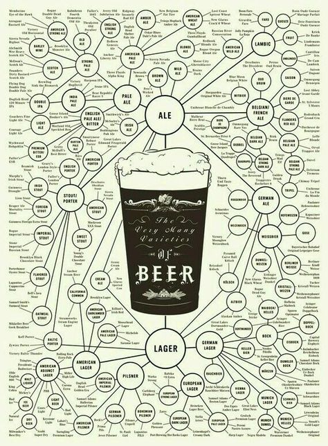 The Beer family tree. Beer Infographic, Beer Types, Types Of Beer, Pop Chart, Party Drinks Alcohol, Beer Prints, Ale Beer, Wine Tasting Party, Beer Poster