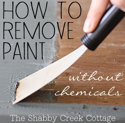 How To Remove Paint, Remove Paint, Cleaning Painted Walls, Glass Cooktop, Paint Remover, Diy Spring, Simple Life Hacks, Paint Stain, Redo Furniture