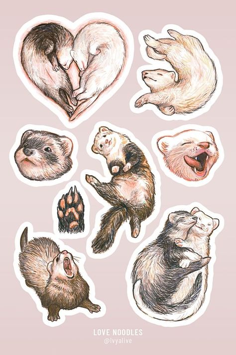 Ferrets Cute, Noodles Sticker, Stickers Drawing, Cute Animal Stickers, Scrapbook Printing, Minimalist Tattoos, Scrapbook Stickers Printable, Animal Stickers, Back To Nature