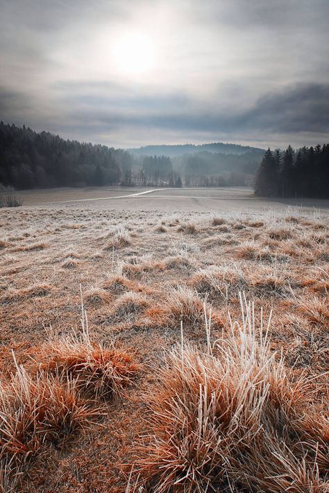 Irene Hanson, Snowless Winter, Winter Aesthetic Small Town, Midwest Gothic Winter, Winter Wilderness Aesthetic, Snowy Countryside, Snowy Small Town, November Mood, Stick Season