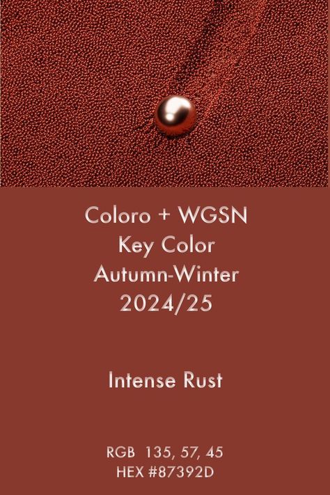 WGSN Key Color | Intense Rust | A/W 2024/25 #trends #color #wgsn #coloro 2024 Color Trends Forecast, Wgsn Aw24/25, Wgsn 2024 Trends, Fw 2024 Color Trends, Wgsn Color Trends 2023, Pantone 2024 Color Trends Fashion Winter, Color Forecast 2024/2025, Color Pallets 2024, Fw24 Color Trends