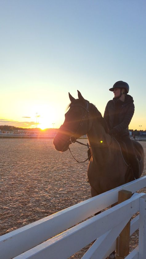 Beige Horse Aesthetic, Working With Horses Aesthetic, Aesthetic Horse Riding Pics, Vision Board Horse Riding, Horse Riding Astethic, Equestrian Boarding School, Horse Asethic Pictures, Horse Riding Photos, Equestrian Life Aesthetic