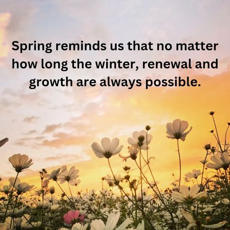 Spring is the season of hope. #quotestagram #spring #quotestoliveby #life #motivation 1st September Quotes, Quotes Spring, September Quotes, 1st September, Motivational Messages, Spring Day, Life Motivation, Profile Pictures, Stardust