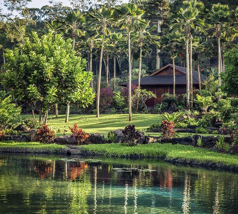 Our Wellbeing Retreats - Sensei Lānaʻi and Porcupine Creek Sensei Lanai, Usa Vacations, Hawaii Hotels, Desert Environment, Best Honeymoon Destinations, Wellness Resort, Travel Vibes, Best Honeymoon, Wellness Travel