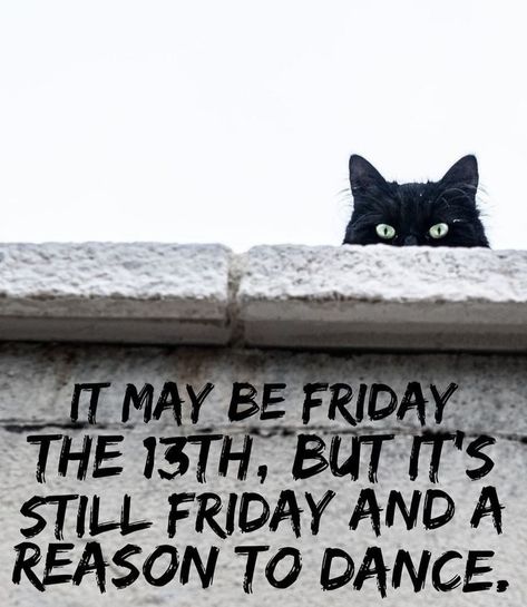 Friday The 13 Quotes Funny, Friday The 13th Quotes, Good Morning Cat, Autumn Leaves Wallpaper, Happy Friday The 13th, Just A Friend, Morning Cat, Halloween Wallpaper Backgrounds, Weekday Quotes