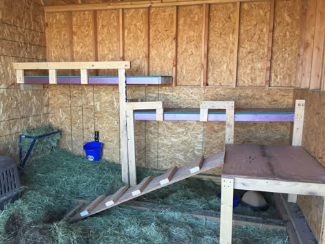 Buck Pen Goat, Goat Hut Ideas, Goats Enclosure, Goat Stall Ideas, Goat Feeding Station, Goat Platform, Goat Stalls In Barn, Goat Pen Ideas Play Areas, Goat Stable