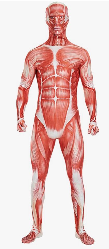 Spandex Suit, Muscle Suit, Full Bodysuit, Full Body Stretch, Muscular System, Body Stretches, Full Body Suit, Muscle Body, Body Organs