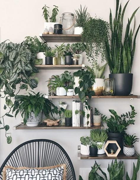 Ce salon a misé sur un corner végétal avec la multiplication d’étagères Vertical Wall Planter Pots, Vertical Wall Planters, Interior Boho, نباتات منزلية, Decor Ikea, Wall Planter, Plant Lady, Decor Minimalist, Plant Wall