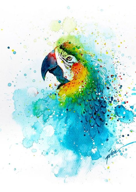 As coloridas aquarelas com pinturas de animais de Tilen Ti Parrot Painting, Cat Air, Urban Sketchers, Watercolor Splash, Watercolor Inspiration, Watercolor Bird, Watercolor Animals, Birds Painting, Painting Illustration