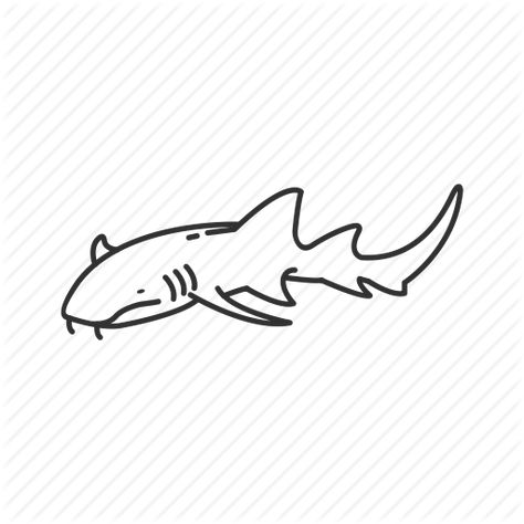 Nurse Shark outline Nurse Shark Drawing, Nurse Shark Tattoo, Aquatic Tattoos, Shark Outline, Aquatic Tattoo, Shark Silhouette, Dove Tattoos, Shark Drawing, Nurse Shark