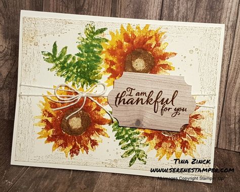 Holiday Creative Escape Carols of Christmas Bundle - Early Release 50% off Paper Pumpkin Special! Hi Friends! I couldn't resist p... Carte Halloween, Sunflower Cards, Daisy Cards, Stampin Up Catalog, Christmas Bundle, Thanksgiving Cards, Stamping Up Cards, Fall Cards, Holiday Catalog