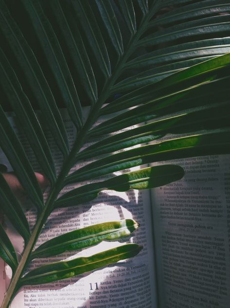 Palm Sunday Aesthetic Quotes, Palm Sunday Aesthetic, Sunday Aesthetic, Deep Christian Quotes, Palm Wallpaper, Palm Sunday, Aesthetic Colors, Aesthetic Movies, Palm Leaves