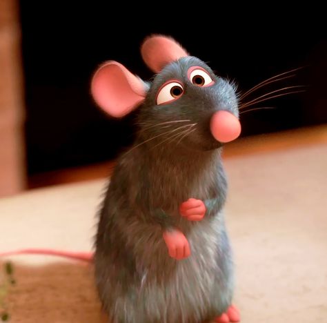 from Pixar’s Ratatouille (2007) Remi From Ratatouille, Remmie The Rat, Remi's Ratatouille, Ratoutile Movie, Ratatouille Remy Pfp, Ratatouille Astethic, Remy Ratatouille Aesthetic, Ratatouille Fanart, Ratatouille Pfp