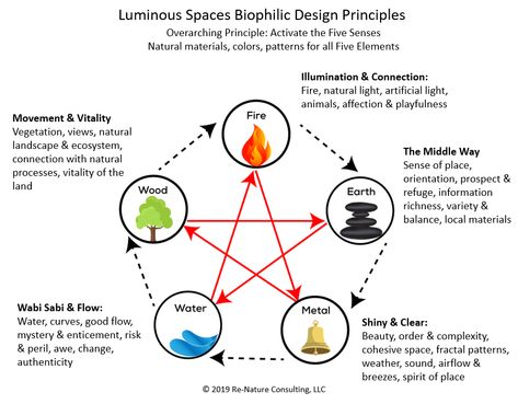 Biophilic design principles through the lens of feng shui. Want to learn more? Visit to learn about new online course open enrollment now! Bio Philic Design, Biophilic Design Concept, Biophilic Design Architecture, Feng Shui Architecture, Feng Shui Earth Element, 5 Elements Of Nature, Sustainable Store, Design Psychology, Biophilic Architecture