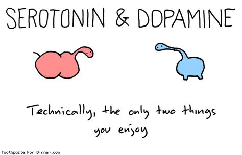 Serotonin and dopamine: Technically, the only two things you enjoy. Psych Major, Psychology Humor, Psychology Jokes, Nerd Humor, Science Jokes, Medical Humor, Science Humor, Life Facts, The Words