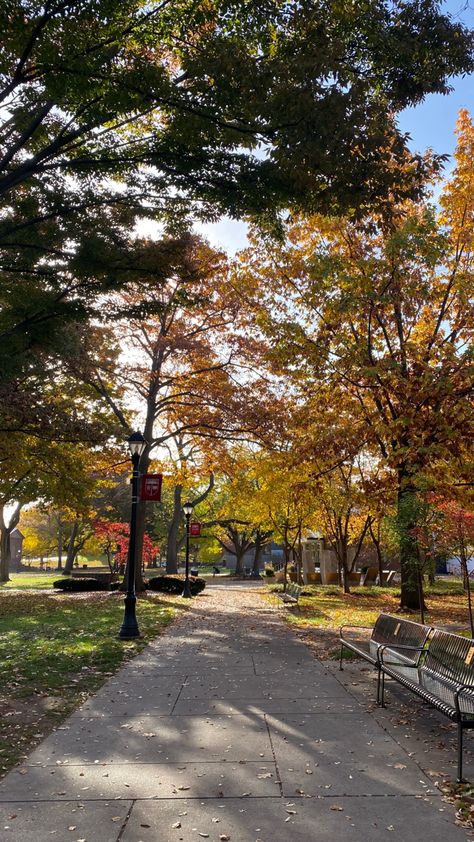 Rutgers University Aesthetic, Rutgers Aesthetic, Academic Struggle, Shauna And Jackie, Aesthetic Colleges, School In Fall, My Favorite Color Is October, Pretty Streets, Fall Aesthetic Wallpaper