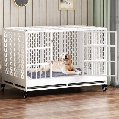 Tucker Murphy Pet™ RERORD 48 Inch Heavy Duty Dog Crate With Wheels, Folding Metal Big Dog Cage Extra Large Dog Crate | Wayfair Big Dog Cage, Extra Large Dog Crate, Furniture Style Dog Crate, Heavy Duty Dog Crate, Best Electric Scooter, Large Dog Crate, Dog Cage, Dog Cages, Big Dog