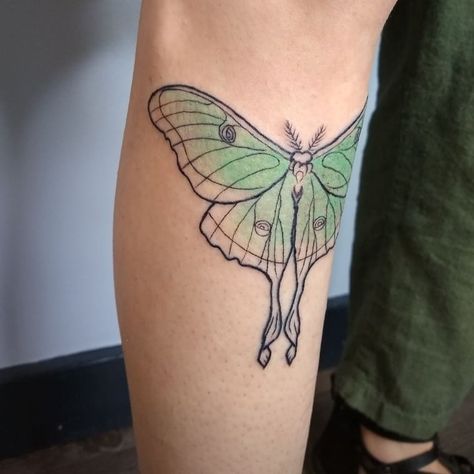 A soft wash of mint green for this luna moth 🍃✨ . . . #lunamoth #lunamothtattoo #tygerwolftattoo #seattletattoo #qttr Green Luna Moth Tattoo, Luna Moth Tattoo, Seattle Tattoo, Moth Tattoo, Luna Moth, Dreamcatcher Tattoo, Geometric Tattoo, Moth, Mint Green