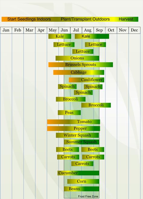 Zone 4 Vegetable  planting calendar describing approximate dates to start vegetable  plants indoors and outdoors relative to specific USDA Plant Hardiness  Zones. Zone 4b Vegetable Gardening, Zone 4b Planting Schedule, Gardening In Minnesota, Zone 4b Gardening, Growing Calendar For Zone 7, Growing Calendar Zone 6b, Zone 9a Planting Schedule, Gardening Calendar Zone 6, Zone Map For Gardening