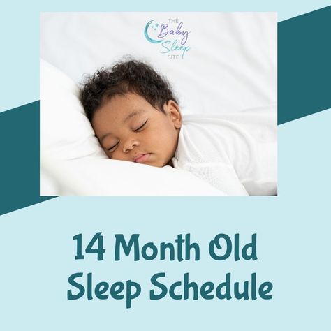 14 month old sleep schedule Sleeping Hours, Toddler Schedule, Sleeping Too Much, Sleep Consultant, Toddler Sleep, Sleep Schedule, Sleeping Through The Night, Sleep Training, Night Sleep