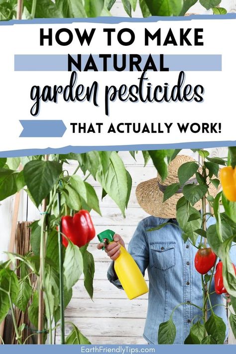 All Natural Garden Pesticide, Natural Repellent For Garden, Natural Bug Repellent For Vegetable Garden, Natural Bug Killer For Garden, Homemade Insecticide For Vegetables, Natural Garden Pesticide, Natural Insecticide For Garden, Organic Pest Control For Garden, Natural Pesticides For Vegetable Garden