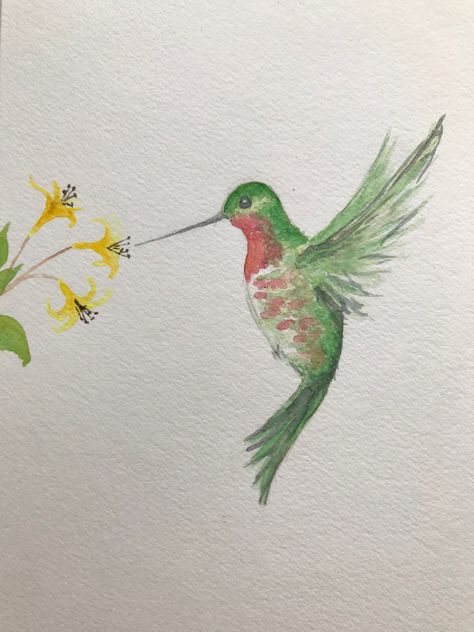 Ruby-throated hummingbird watercolor painting by Amanda Highley Humming Bird Water Colour, Simple Hummingbird Painting, Humming Bird Painting Acrylics Easy, Hummingbird Watercolor Painting, Hummingbird Painting Easy, Simple Bird Painting, Watercolor Inspo Easy, Watercolor Birds Easy, Hummingbird Watercolor